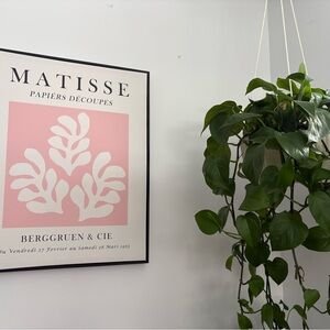Matisse Papiers Découpés Poster - Soft Pink and White 28x22 inches